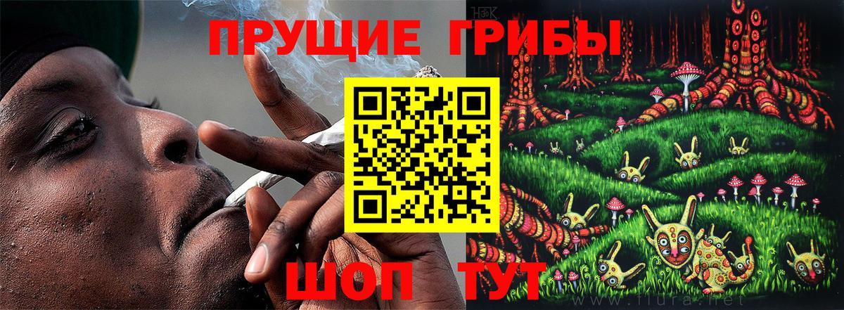 Псилоцибиновые грибы мухоморы  где можно купить наркотик  Зерноград  Галлюциногенные грибы Psilocybe  Вход с VPN 