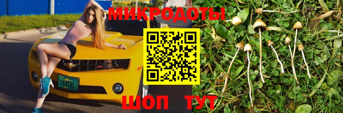 Псилоцибиновые грибы ЛСД Зерноград